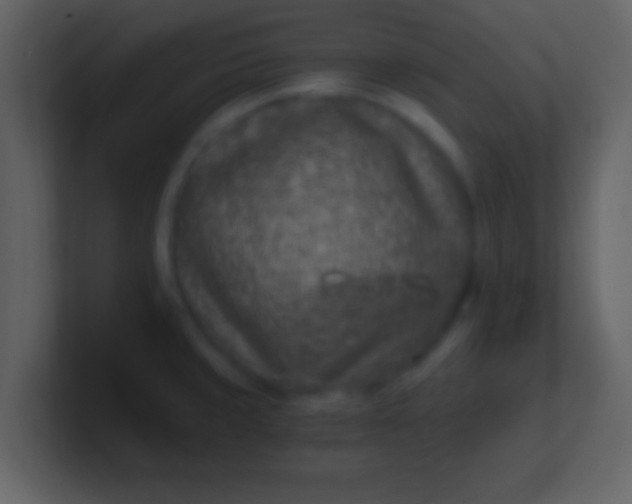 X0000100901429200807081053