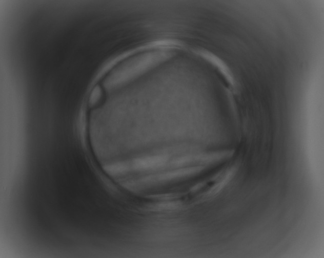 X0000100901430200807081053