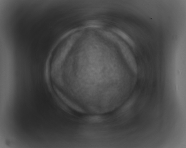 X0000100901431200807081053