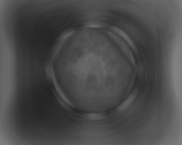 X0000100901433200807081053