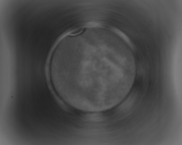 X0000100901434200807081053