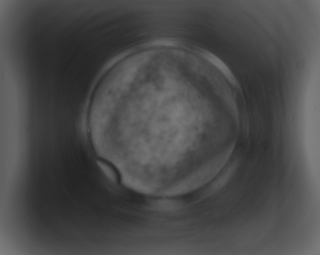 X0000100901436200807081053