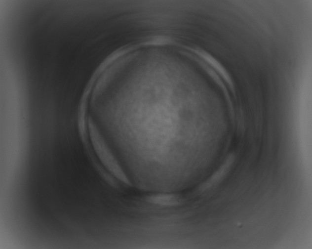 X0000100901437200807081053