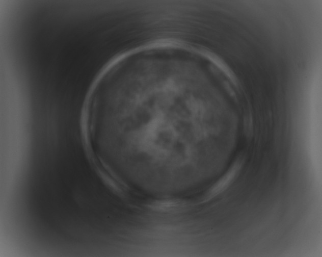 X0000100901438200807081053