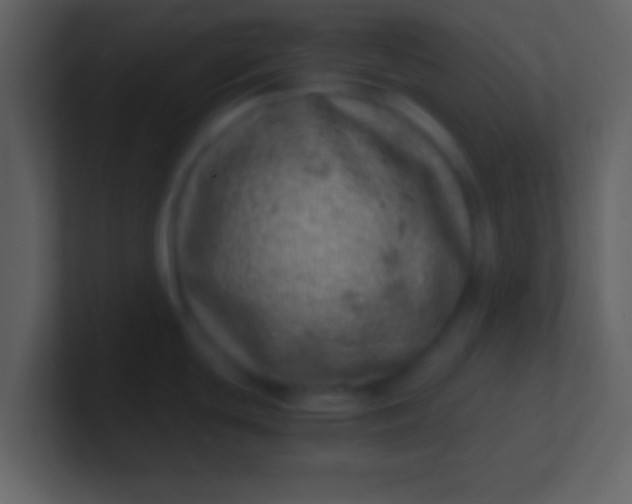 X0000100901439200807081053