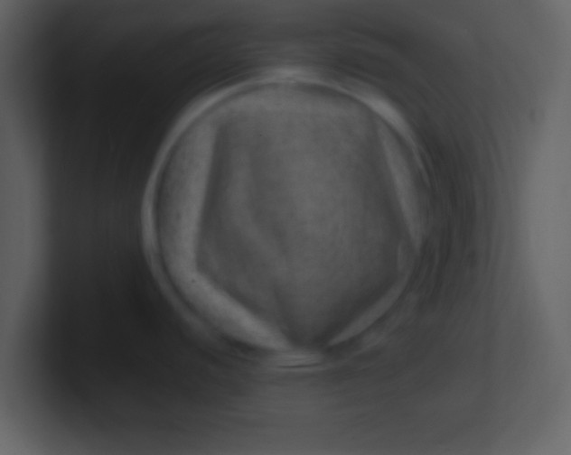 X0000100901440200807081053