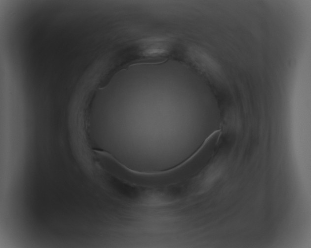 X0000100901441200807081052