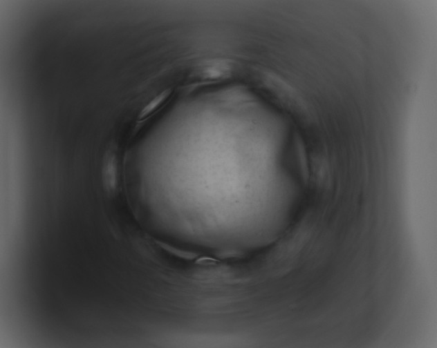 X0000100901442200807081052