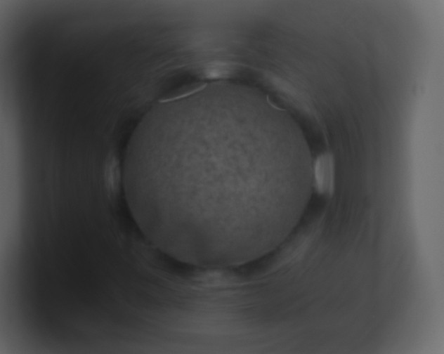 X0000100901443200807081052