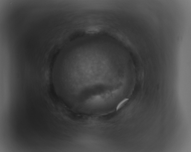 X0000100901445200807081052