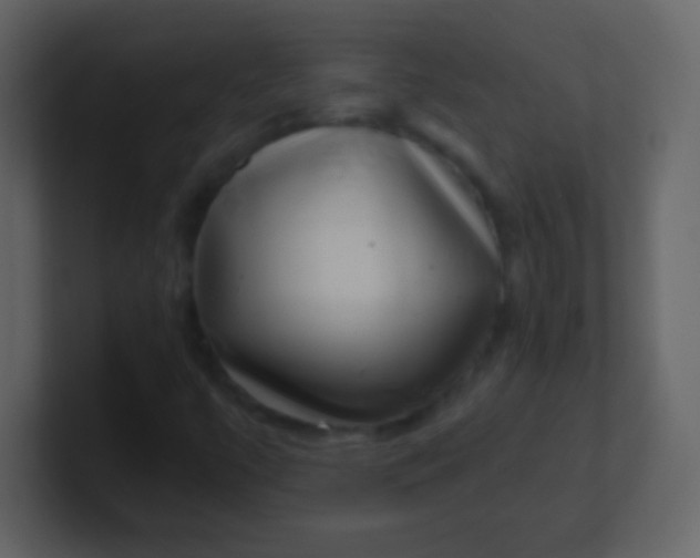 X0000100901447200807081052