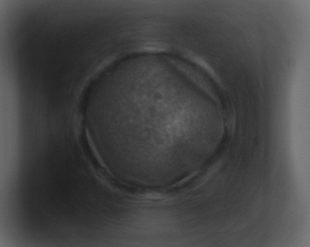 X0000100901448200807081052