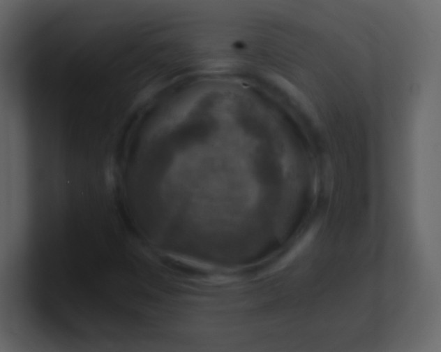 X0000100901449200807081052