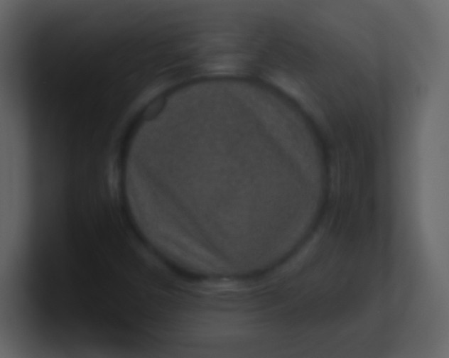 X0000100901450200807081052