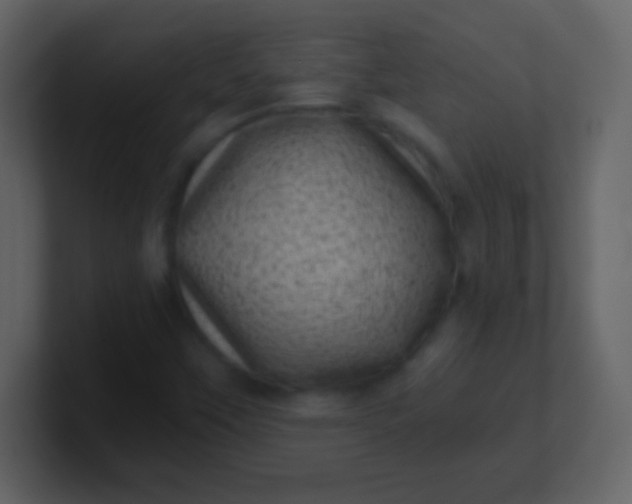 X0000100901451200807081052