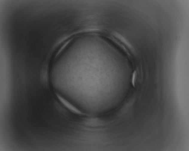 X0000100901452200807081052