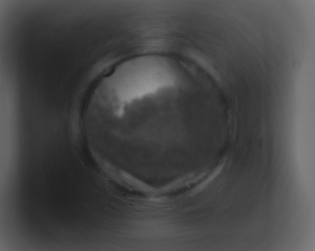 X0000100901453200807081052