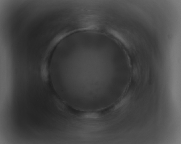 X0000100901455200807081052