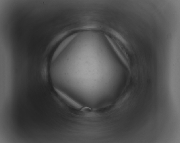 X0000100901456200807081052