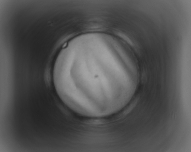 X0000100901458200807081052