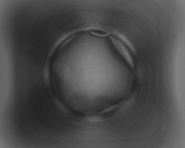 X0000100901460200807081052