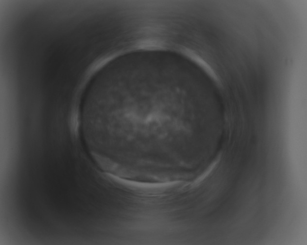 X0000100901461200807081052