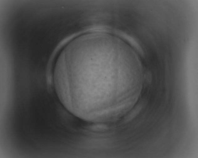 X0000100901462200807081052