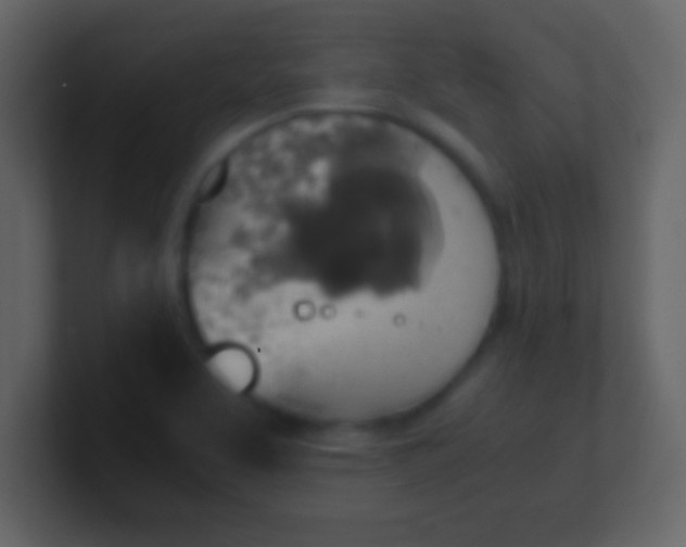 X0000100901463200807081052