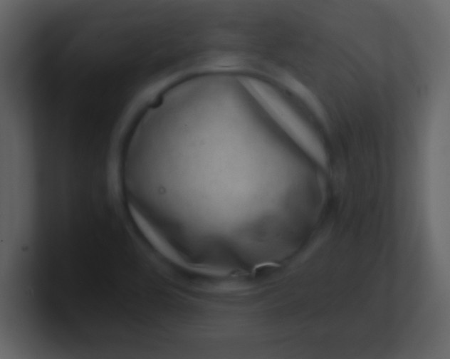 X0000100901464200807081052