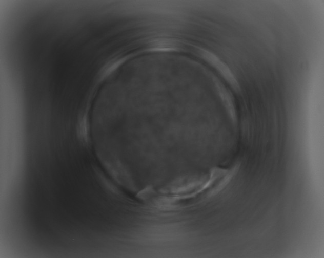 X0000100901465200807081052