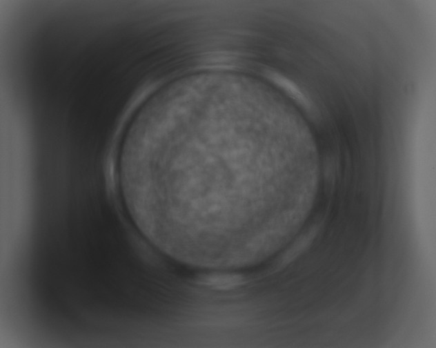 X0000100901466200807081052