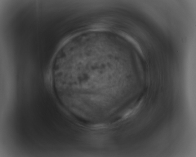 X0000100901467200807081052