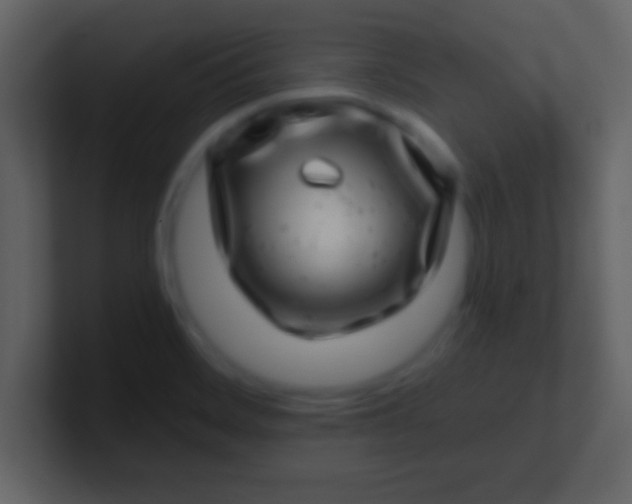 X0000100901468200807081052