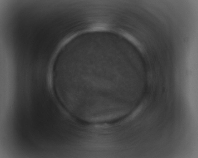 X0000100901469200807081052