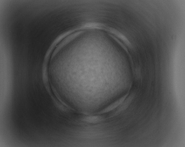 X0000100901470200807081052