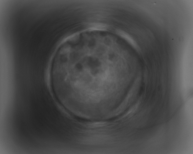 X0000100901471200807081052