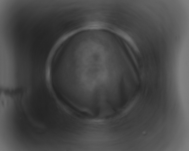 X0000100901472200807081052