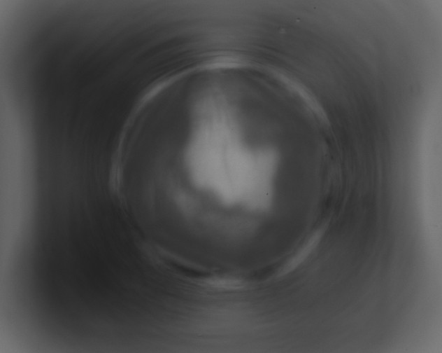 X0000100901473200807081052