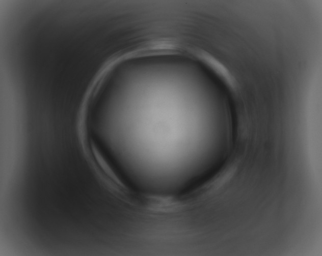 X0000100901475200807081052