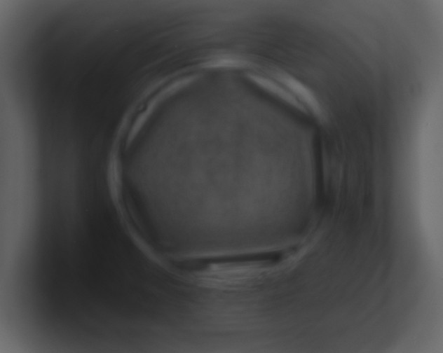 X0000100901476200807081052