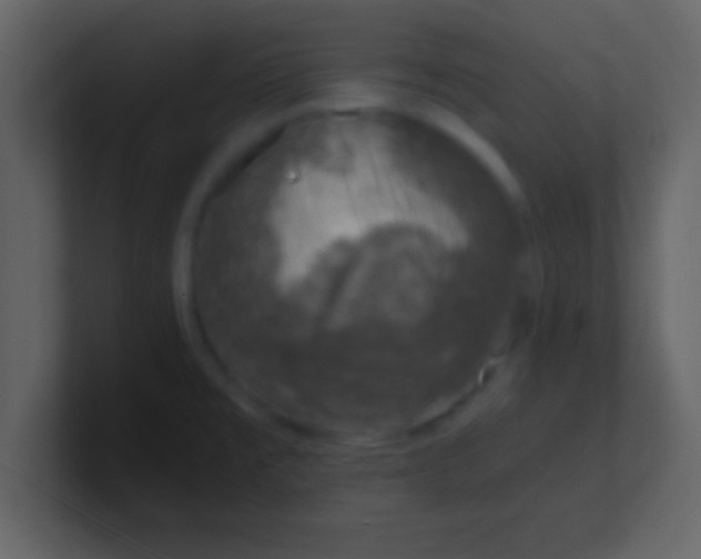 X0000100901477200807081052