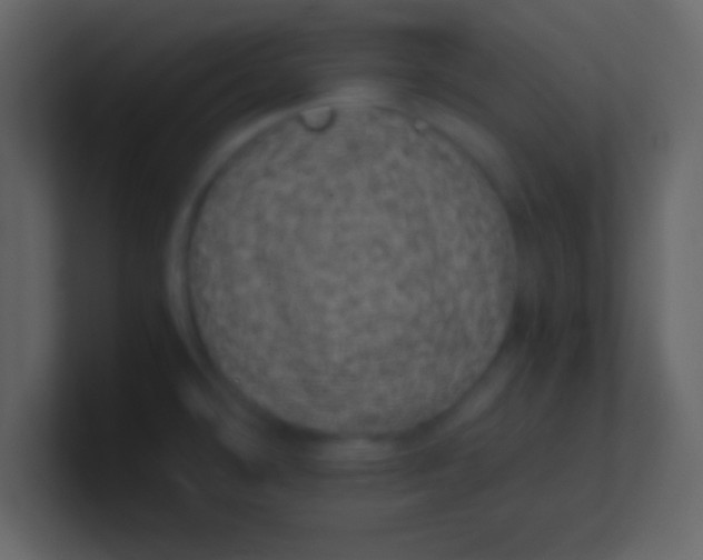 X0000100901478200807081052