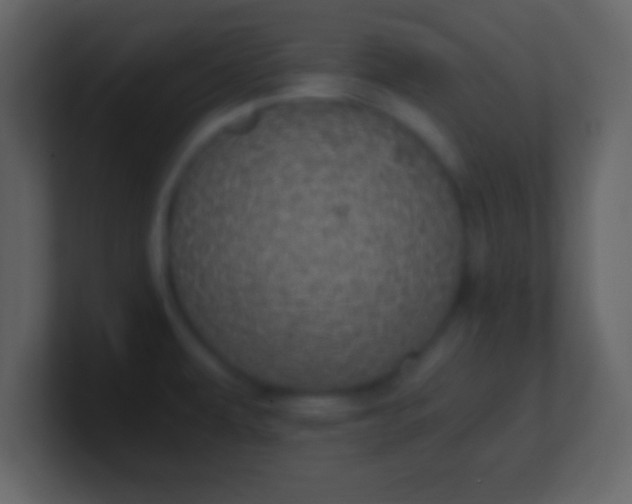 X0000100901479200807081052