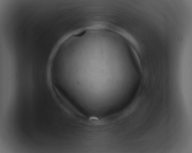 X0000100901480200807081052