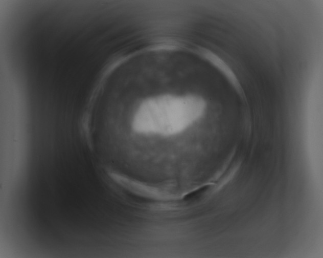 X0000100901481200807081052