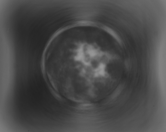 X0000100901482200807081052