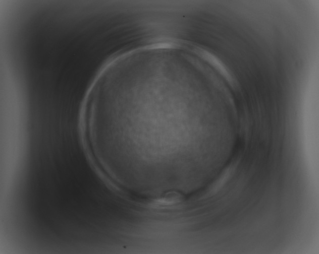 X0000100901483200807081052