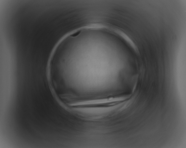 X0000100901484200807081052