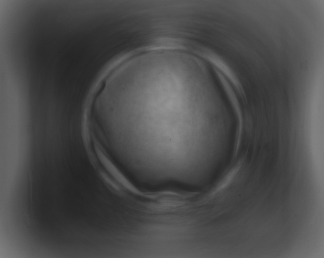 X0000100901485200807081052