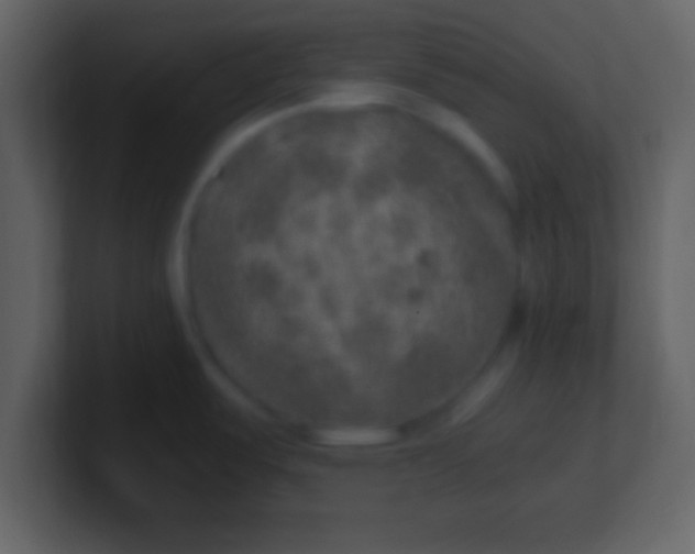 X0000100901487200807081052